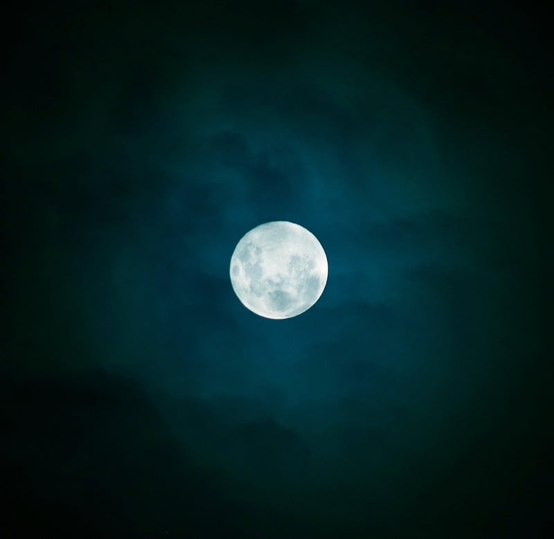 Moonlit Frosting